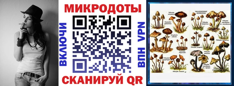 купить наркотик  Холмск  Галлюциногенные грибы Psilocybine cubensis 